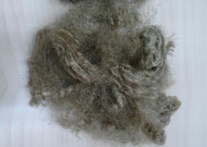 Quality Brown Hollow Conjugated Fiber Good Fastness , Recycled Polyester Fiber 7D X 64MM wholesale