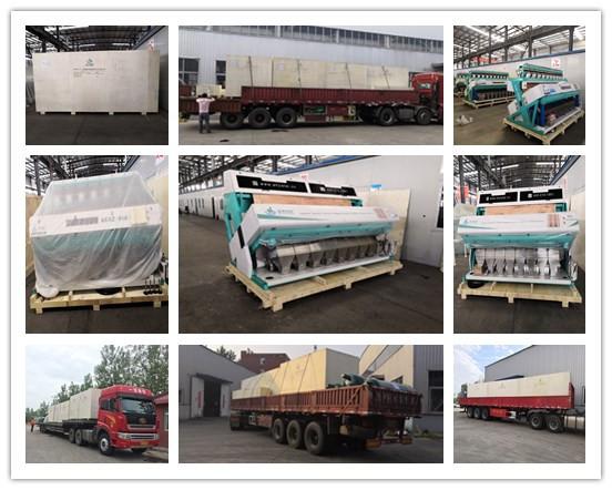 CCD 1 Chute Rice Color Sorter Machine 80 Channels 260kg