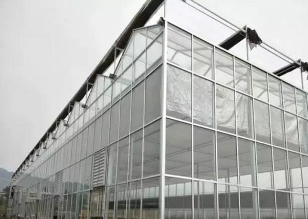 Large Glass Greenhouse For Farm Aquaculture Livestock Breeding Ecological