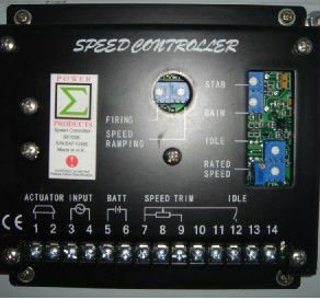 372643995_007[1].jpg