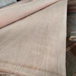 Natural Wood Rotary Cut PLB Veneer Sheet With 0.15-0.3mm For Plywood