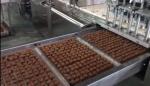380v 400kg/H Snack Bar Machine Chocolate Enrobing Production Line