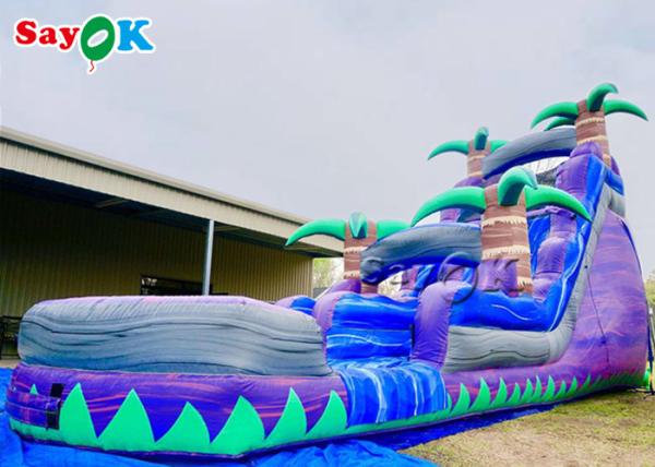 Outdoor Inflatable Water Slides Commercial Inflatable Slide Water Park Purple