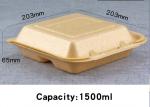 Biodegradable disposable 3 compartment clamshell form container food packaging