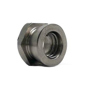 Quality SUS304 Stainless Steel Nuts Anti Vandal Shear For Bcarriage Bolt wholesale