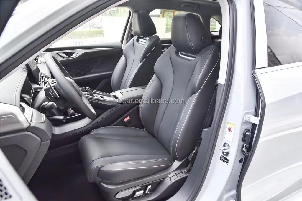 Efficiency Never Looked This Good Wei Mocha Hybrid Electric SUV with 2915 Wheel Base