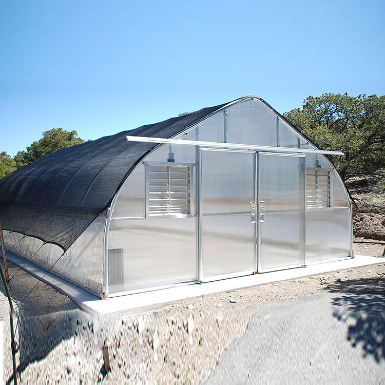 Single Span Commercial Polytunnel Plastic Film Greenhouse Farming