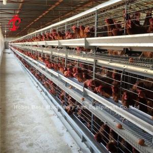Quality China Nigeria Factory Layer Broiler Poultry Chicken Rearing Cage For Sale Ada wholesale