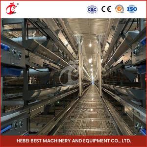Quality Automatic Poultry Farm Equipment With Automatic Feeding System Rose wholesale