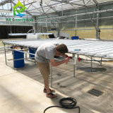 Dia 20" To 50" Shutter Exhaust Fan Greenhouse Cooling Fan With Swung Drop Hammer