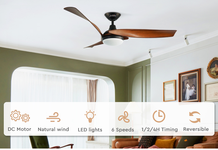 ceiling fan