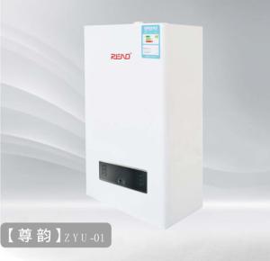 Quality Home Use Gas Wall Hung Boiler Domestic Gas Central Heating Boilers wholesale