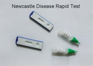 Quality Newcastle Disease Virus Veterinary Test Kits Visual Judgement 99% Accuracy wholesale