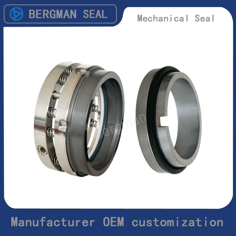 BERGMAN C8U C8B 25mm-100mm G60 G4 G6 G9 G13 G16 BS Bo BP Pump Mechanical Seal