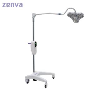 Quality Hot Sale 300mm Head Dia Shadowless Surgical Light White Portable Led Lamps wholesale