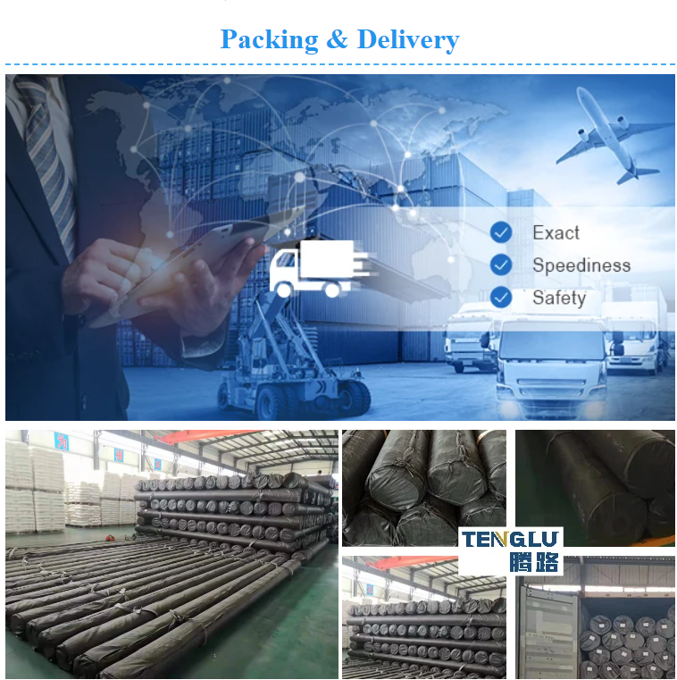 Asphalt Reinforcement Fiberglass Geogrid Lower Cost Advantage for Slope Protection
