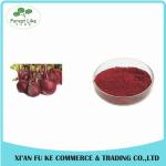 100% Water Soluble Natural Pigment Red Beet Juice Powder