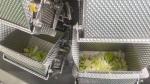 Automatic Vegetable And Fruit Tray Packing Machine Food Snack Multifunction