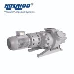 Roots Vacuum Pump Booster for Petroleum / Chemical Engineering / Medicine /