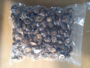Quality Healthy Dried Shiitake Mushroom 11% Moisture No Foreign Odours wholesale