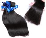Straight Virgin Malaysian Hair Bundles With Closure , 100 Virgin Hair Extensions