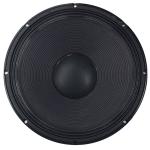 125 OZ 600 Watts RCF PA Speaker Pro Audio Car Speakers DS-15P300