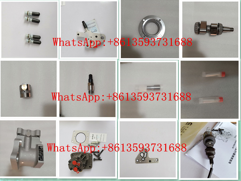 Hyundai R380LC-7 Excavator Cummins Qsl9 Engine Fuel Pump 4921431 4903462 4954200 3973228