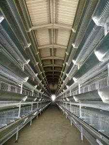 Quality 6 Tiers Q235 Battery Layer Hens Cage Chicken Breeding Cage wholesale