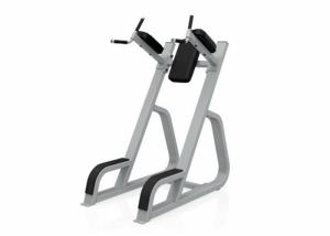 Quality Q235 Life Fitness Strength Equipment Gym Online Leg Raise Exercise wholesale