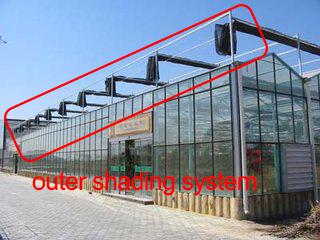 Customized Multi-span Vegetable Grow Tunnel Greenhouse for Vegetable Cultivation