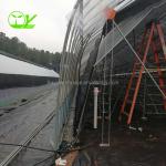 Single-Span Agricultural Greenhouses for Commercial Stable Structure Easily