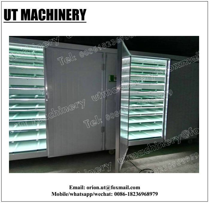 500kg/day Capacity Sprout Production Machines for Fast Manufacturing Plant