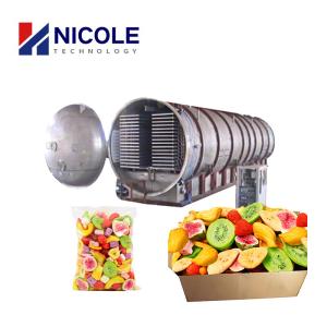 Quality CE Commercial Use Lyophilizer Beef Vacuum Freeze Dryer For Vegetable And Fruit wholesale
