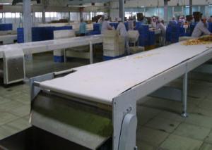 Quality Hot Sale PVC Belt Conveyor for Conveying wholesale
