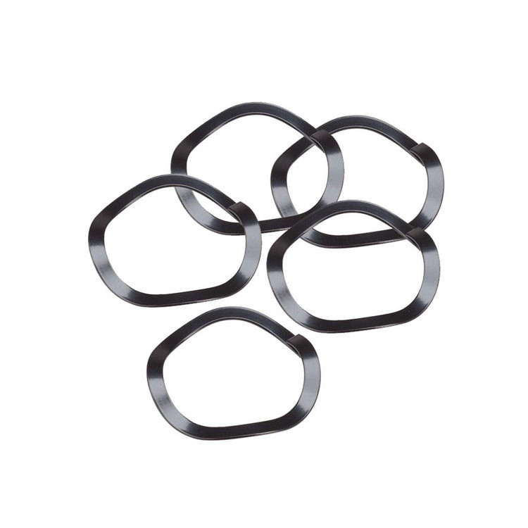 Galvanized 0.5mm SS304 Bearing Spring Washer