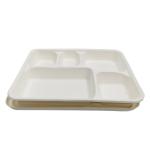 Biodegradable Food Box White Color Food Grade Sugarcane Pulp Material Non