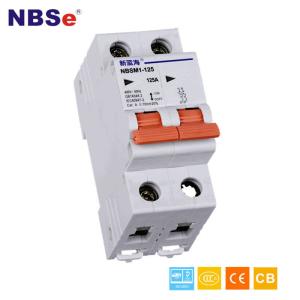 Quality IEC60947-2 10KA Industrial Mcb Breaker Switch High Breaking Capacity wholesale