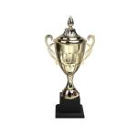 Metal Trophies Triathlon Accessories