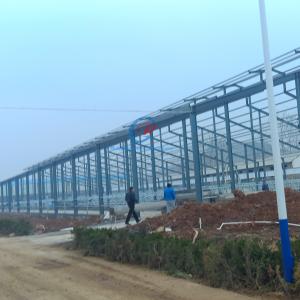 Quality Prefab Steel Structure Shed , Natural Ventilation Metal Shed Buildings wholesale
