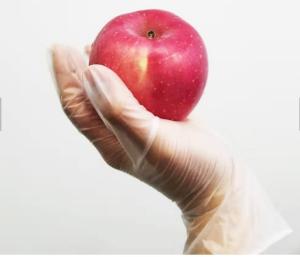 Quality Small Food Safe Latex Free Powder Free Disposable Gloves Soft And Uniform Thickness wholesale