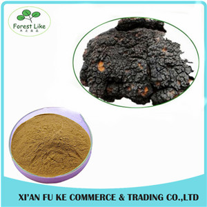 Natural Treat Diabetes Innocuous Health Products Chaga Mushroom Extract Powder with Polysaccharides,Betulin