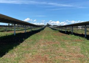 Quality Ground Photovoltaic Sun Tracking Solar Panel Mount Single Axis wholesale
