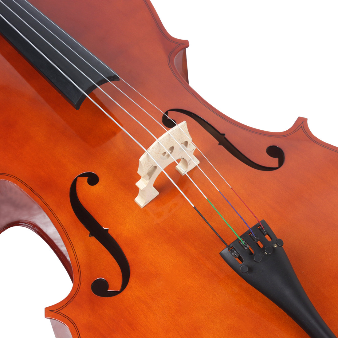 Spruce Top Flamed Chinese Maple Back Cello (CH200W) Both are soft wood that produces a soft, warm sound. constansa