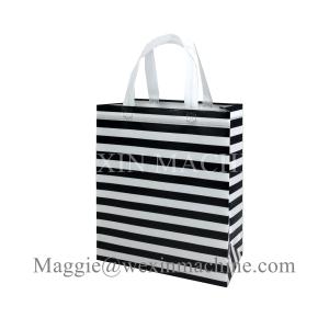 Quality Reusable Conference Event Place Promotional Non Woven Bags /Garment Bag Price wholesale