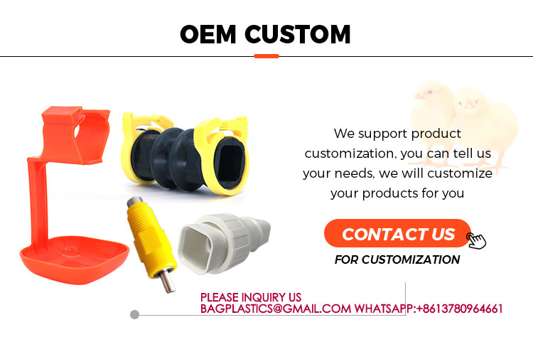 Poultry Farm High Quality Adult And Baby Chicks Poultry Slats baby chicks poultry slats