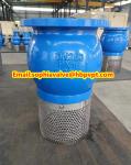 PN16 GG25 cast iron foot valve
