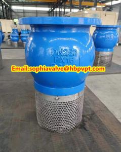Quality PN16 GG25 cast iron foot valve wholesale
