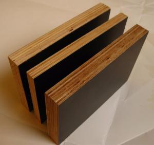 Quality WBP Melamine Eucalyptus Construction Timber Film Faced Plywood wholesale