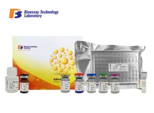 Quality Oem Cathepsin B Sandwich Porcine ELISA Kit With Strong Sensitivity And Specificity wholesale