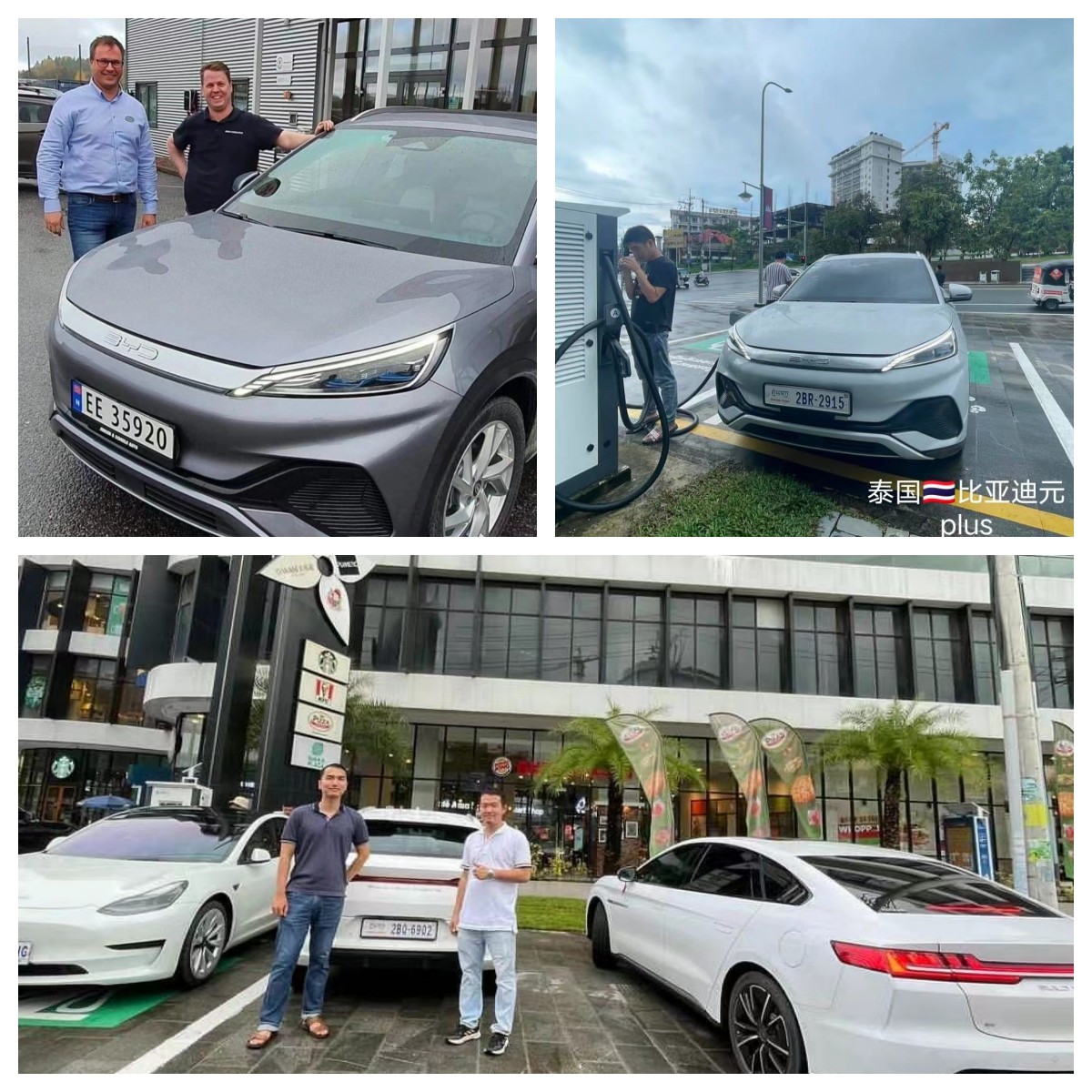 Energy Automobile Byd Tang 2023 Vehicle 7 Seating 730 Km Long Range Electric Ev Car Turn to Left
